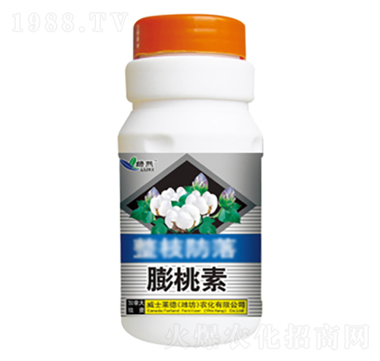 ������-�G��-��ʿ�R��