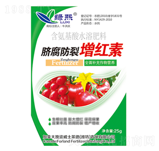 Ě���������t��-�G��-��ʿ�R��