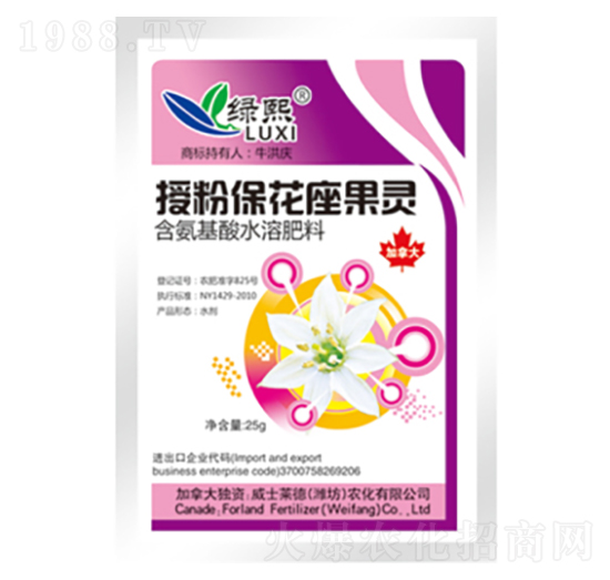 �ڷ۱��������`�����b��-�G��-��ʿ�R��