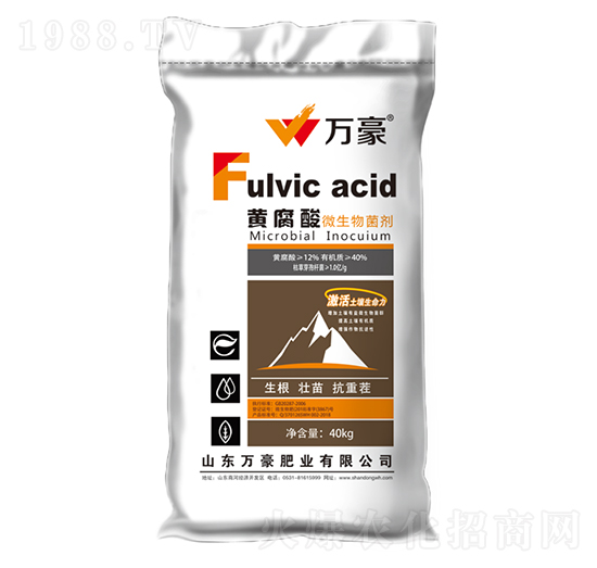 �S����΢�������-�f��