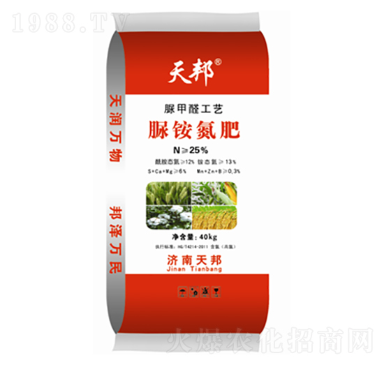 25%���@����-���-�f��