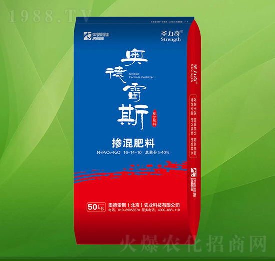 �������16-14-10-ʥ����-�W����˹