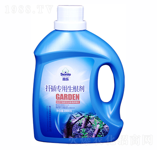 Ǥ�匣��������-ɭ��-�����r(n��ng)��