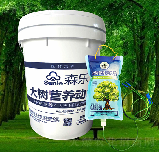 ���I�B(y��ng)��(d��ng)��Һ-ɭ��-�����r(n��ng)��