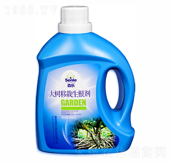 �������������-ɭ��-�����r(n��ng)��