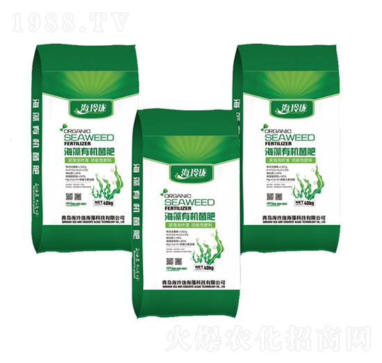 �����ЙC����-���ᭇ