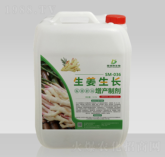 SM-036�������L���a�Ƅ�-�ΰ�������