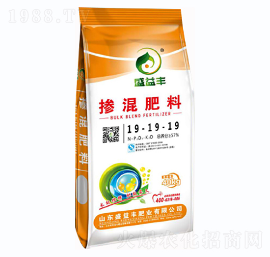 �������19-19-19-ʢ���S