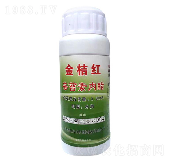 �|̦�؃�(n��i)֬-��ۼt���B(t��i)