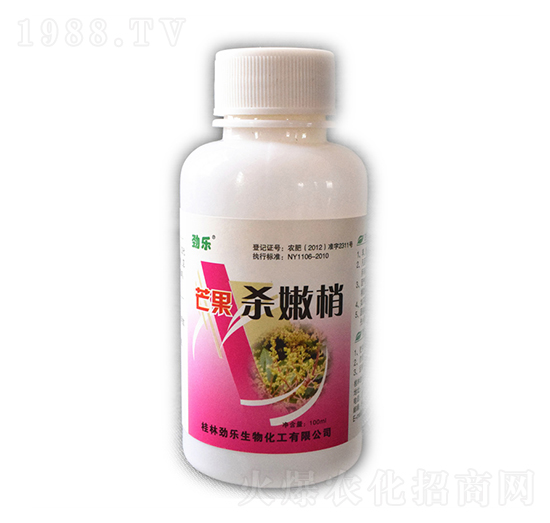 100mlâ��������-�Ř�-���_����