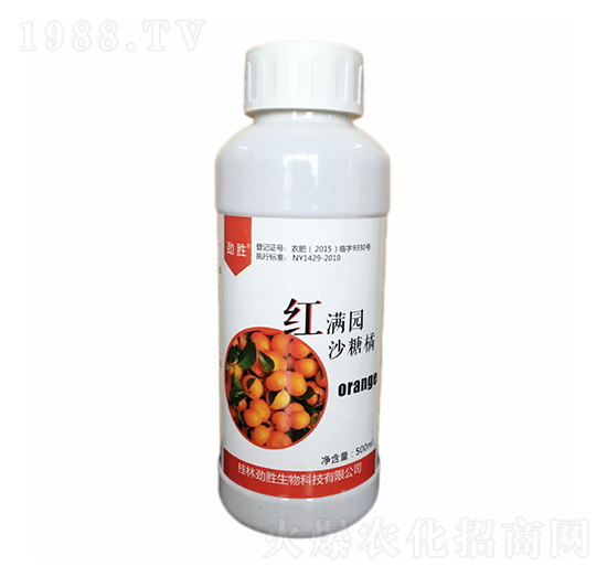 ɳ���ټt�M�@-���_����