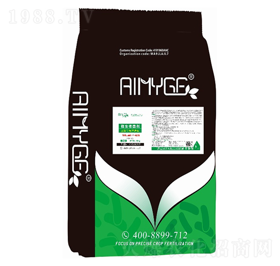 �����ޏ�(f��)����-������