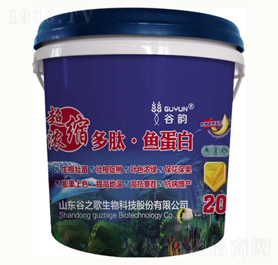 �����~����-���-��֮��