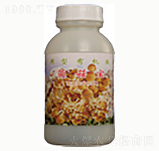 ������-�n����