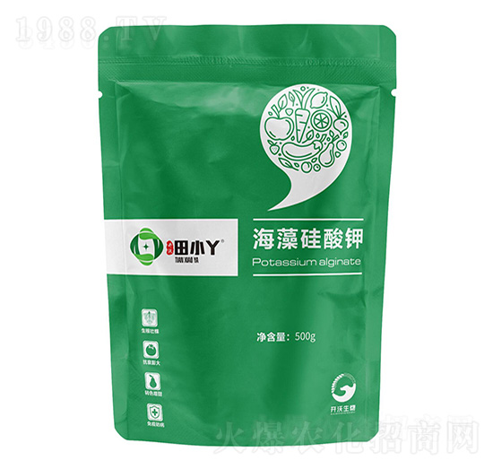 ��������-��СѾ-�_(k��i)������