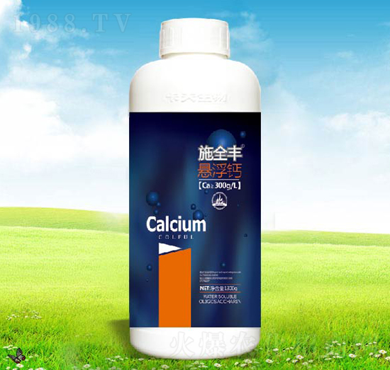 ʩȫ�S�Ҹ��}-����