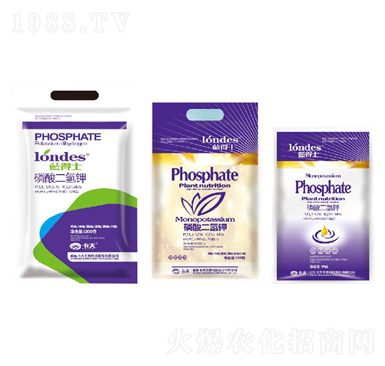 �{��ʿ��������-����