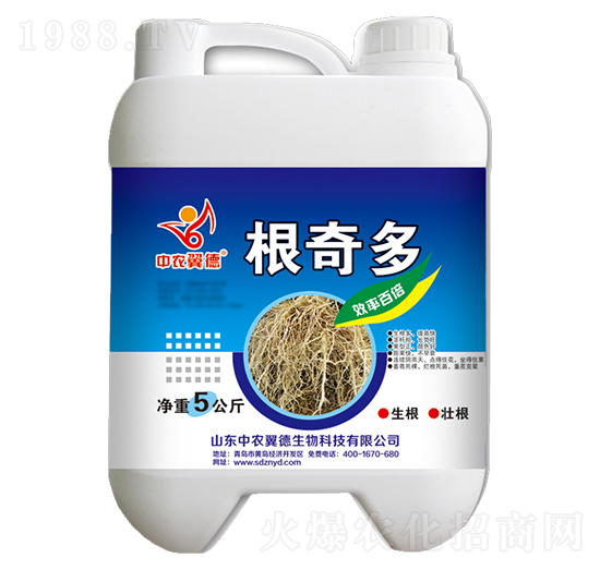 �����-���r(n��ng)����