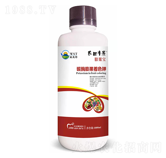 ̼ø�����ɫ�-�r���S��-��ʩ��