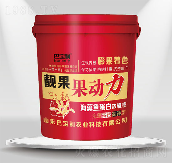 ������}������n��-����(d��ng)��-�͌����r(n��ng)