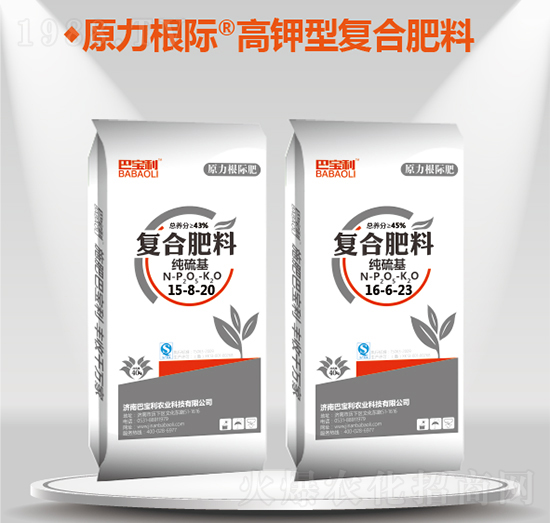 ����͏ͺϷ���-�͌����r