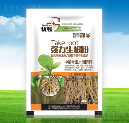 ����������-��(y��u)�D-�μѸ�