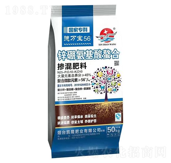 �������25-10-10-���f(w��n)��56-��չ��