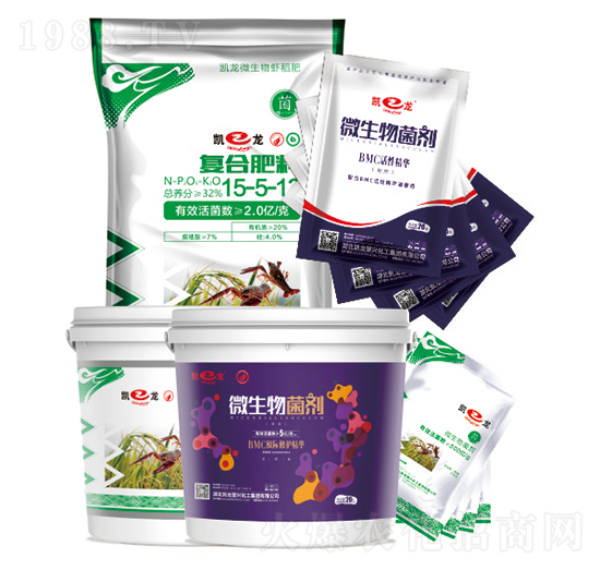 �r���ײ�-�P��-�P�����d