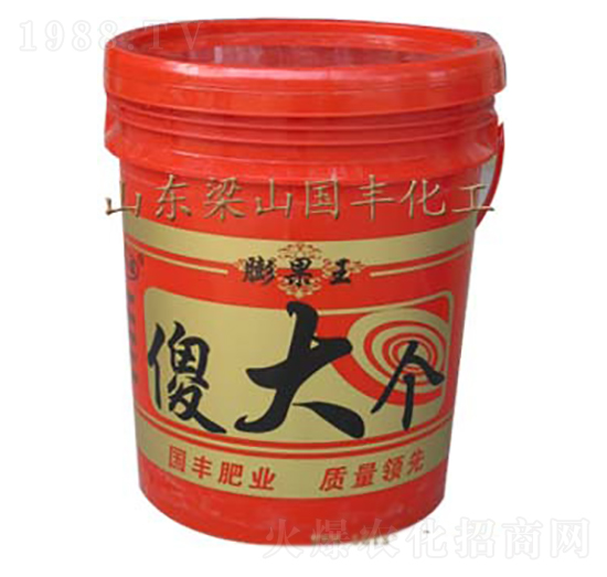 傻大個(gè)-膨果王-國(guó)豐肥業(yè)