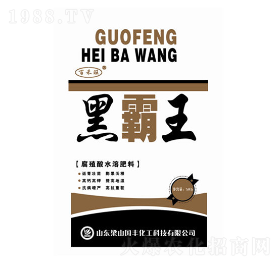 �ڰ���-�ٺ���-���S�ʘI(y��)