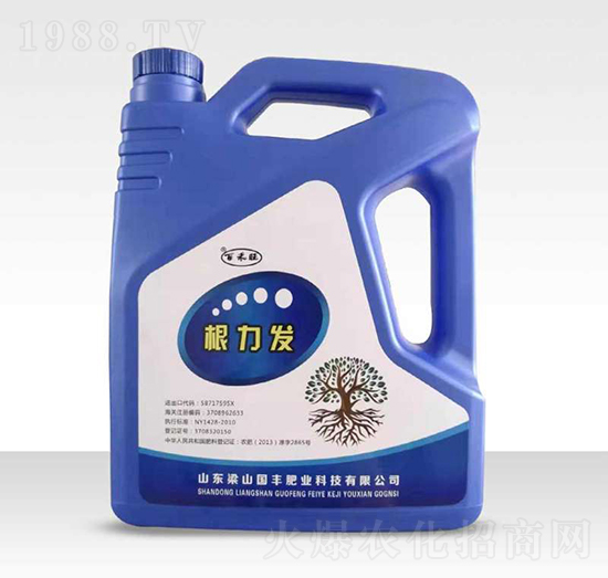 �����l(f��)-�ٺ���-���S�ʘI(y��)