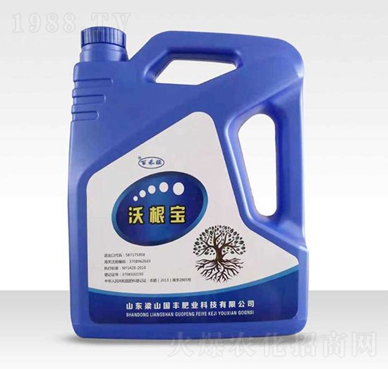 �ָ���-�ٺ���-���S�ʘI(y��)