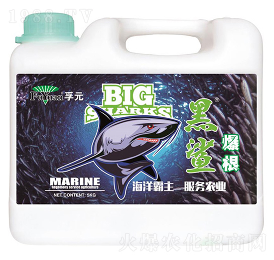 ��������-��Ԫ