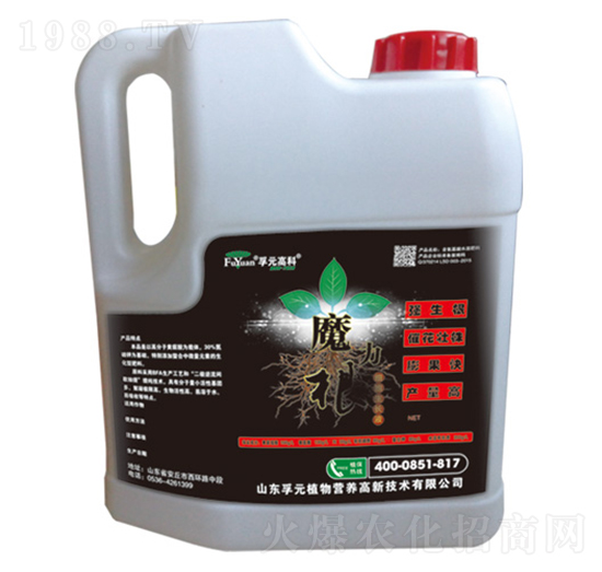 ħ����-��Ԫ