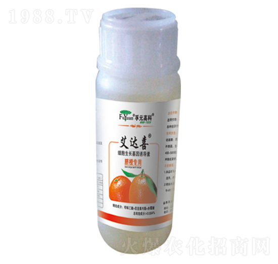 Ě�Ȍ���-���_ϲ-��Ԫ