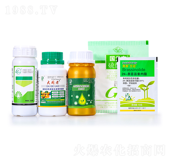 �������ײͽM��-���w��-�r(n��ng)���Z