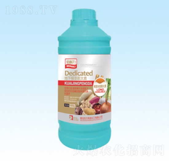 ���¸��o�����-�|��Ӣ�Z