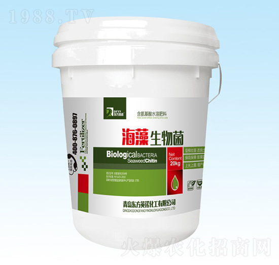 ���������-�|��Ӣ�Z