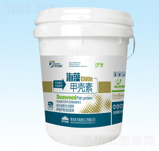 ����ך���-�|��Ӣ�Z