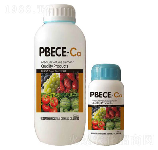 ��������(y��u)�}-��ɪ��