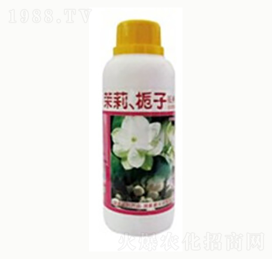 ����d�ӻ����ܠI�B(y��ng)Һ-�G���r�I(y��)