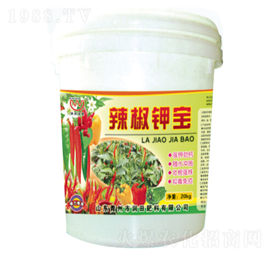 ����⛌�-��(r��n)�����