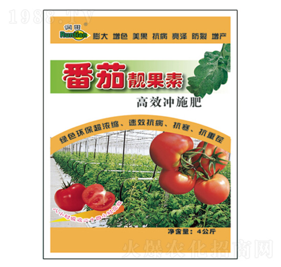 �����n����-�������