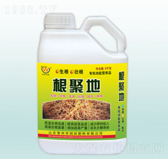 ����(j��)�؛_ʩ��-�������