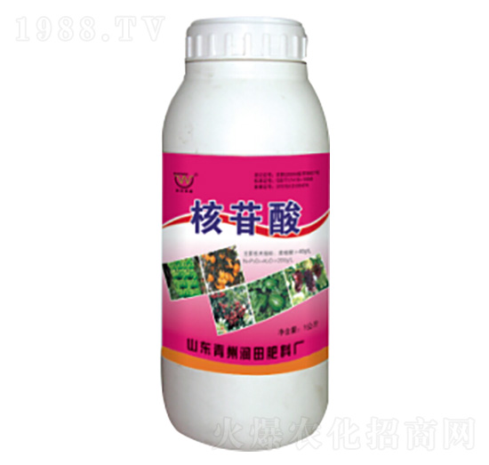 ƿ�b�������~���-��(r��n)�����