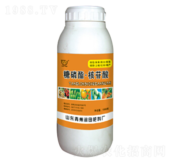 ����֬���������~���-�������