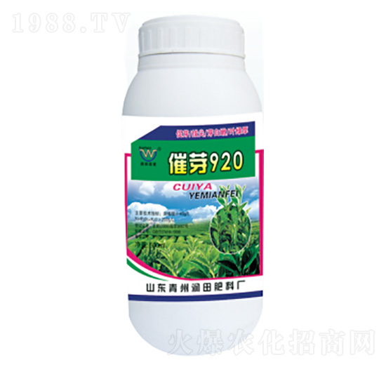 ��ѿ920-�������