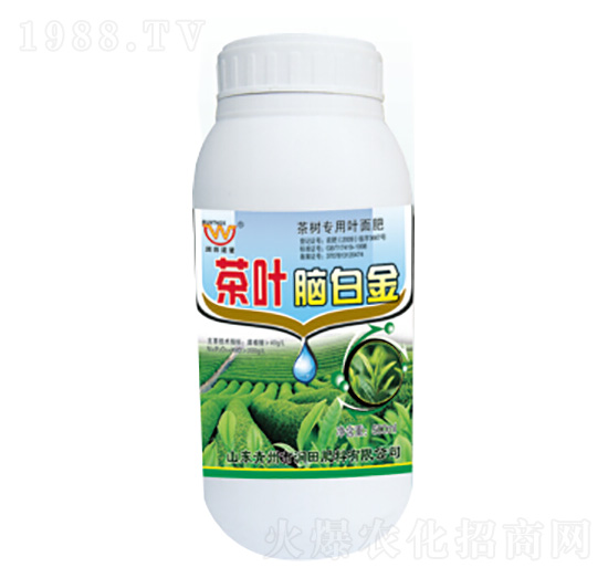 ���~�X�׽�-�������