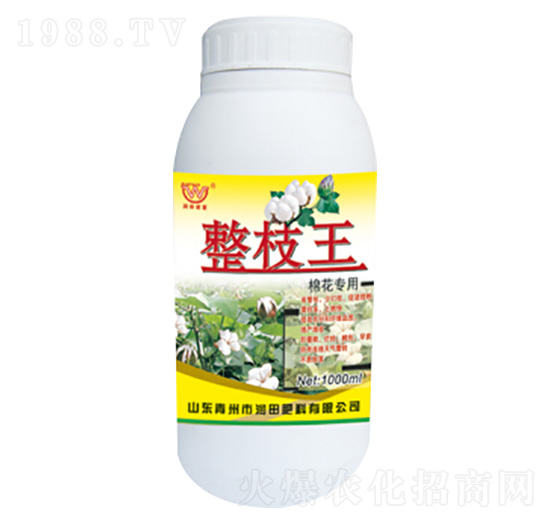 ��֦���~���-�������