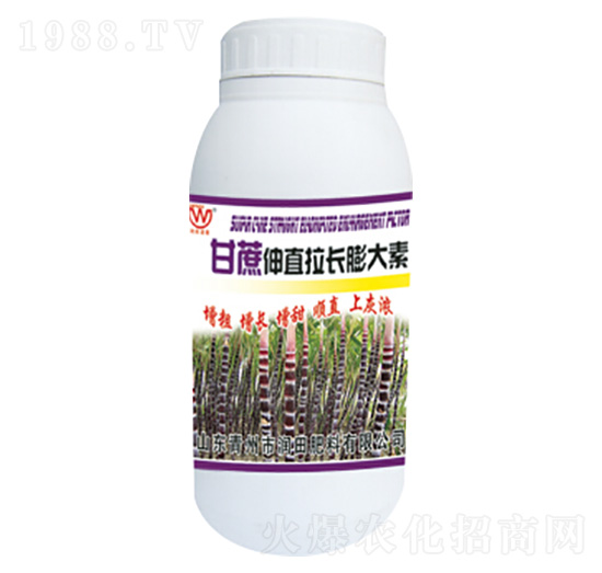 ������ֱ���L�����-�������